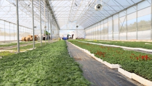 Başkan Güler: "Ordu, Kendi İhtiyacını Kendi Karşılayan Bir Şehir Haline Geldi"