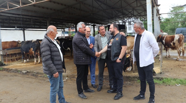 Büyükşehir Kurban Hazırlıklarını Tamamladı