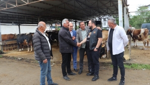 Büyükşehir Kurban Hazırlıklarını Tamamladı