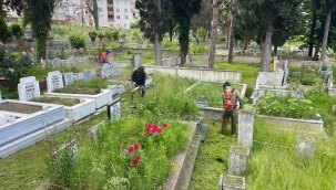 Ordu'da Mezarlıklar Kurban Bayramına Hazır