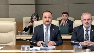 Şanlıtürk, Yerel Yönetimlerle İlgili Çarpıcı Tabloyu Paylaştı