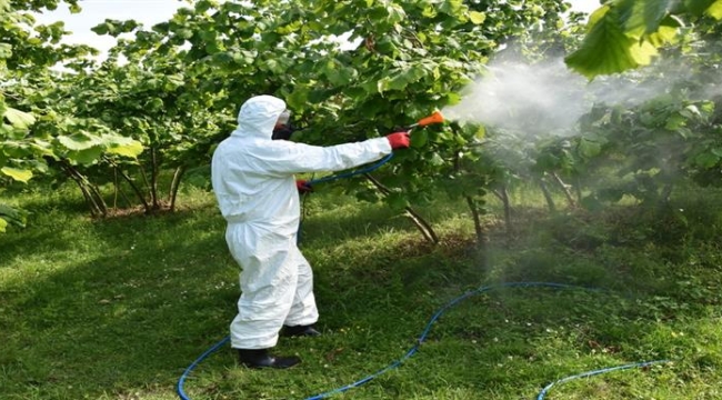 İl Müdürü Yılmaz: "Mücadeleye Hep Birlikte Devam Etmeliyiz"