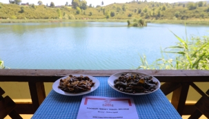 Ordu Gastronomisi Her Geçen Gün Ün Kazanıyor