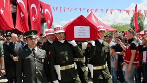Ordu'nun Şehidi Kani Obi Dualarla Ebediyete Uğurlandı