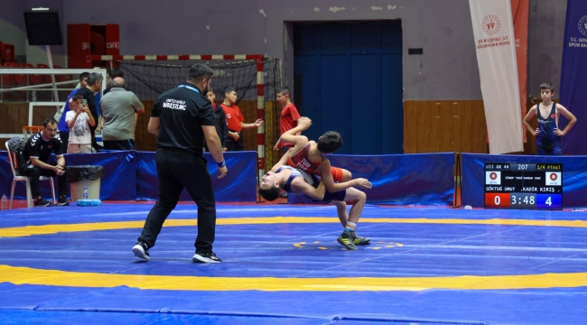 ANALİG Güreş Müsabakaları Ordu'da Tamamlandı