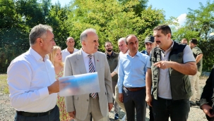 Ordu'da Sahipsiz Sokak Hayvanları İçin Yapılacak Barınak Sayısı Artıyor