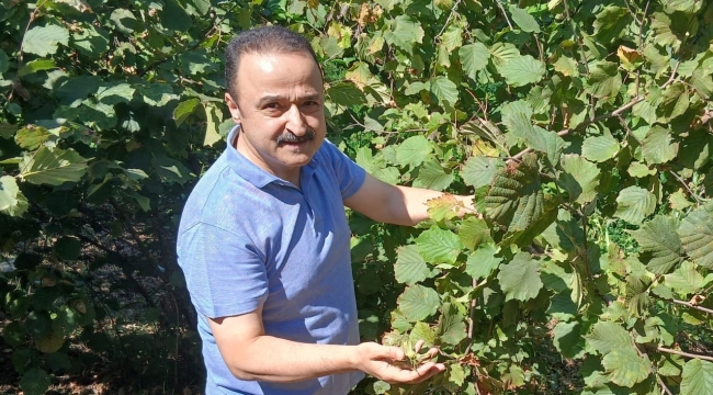 Şanlıtürk: "Fındık Fiyatının Yükseleceğine İnancım Tamdır!"