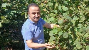 Şanlıtürk: "Fındık Fiyatının Yükseleceğine İnancım Tamdır!"