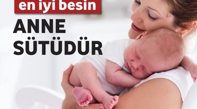 Ünye Sağlıklı Hayat Merkezi'nde 'Dünya Emzirme Haftası" Farkındalığı