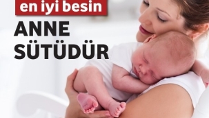 Ünye Sağlıklı Hayat Merkezi'nde 'Dünya Emzirme Haftası" Farkındalığı
