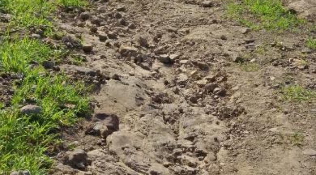 İkizce Aşağı Kaynartaş'tan Hasta Babaanne İçin Yol Talebi!