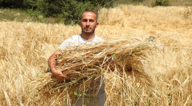 İstanbul'dan Ordu'ya Uzanan Çiftçilik Öyküsü Başarıya Dönüştü