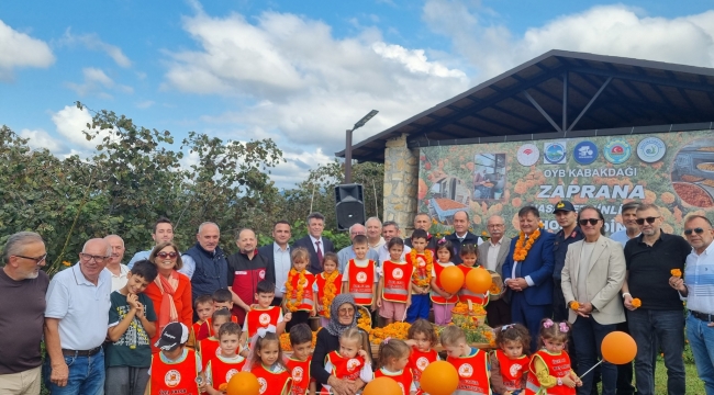 Türkiye'de Bir İlk: Fatsa Kabakdağı'nda Zaprana Hasat Şenliği