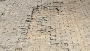 Ünye Kaledere Mahallesi'nden Talep Var!