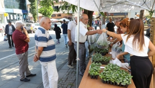 Üreticiler Kış Sebzelerini Kendileri Üretecek