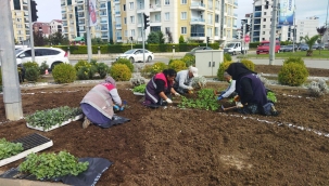 Kendi Kendine Yeten Şehir: Ordu
