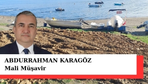 Ünye Yalı Meselesinde Karagöz De Topa Girdi!