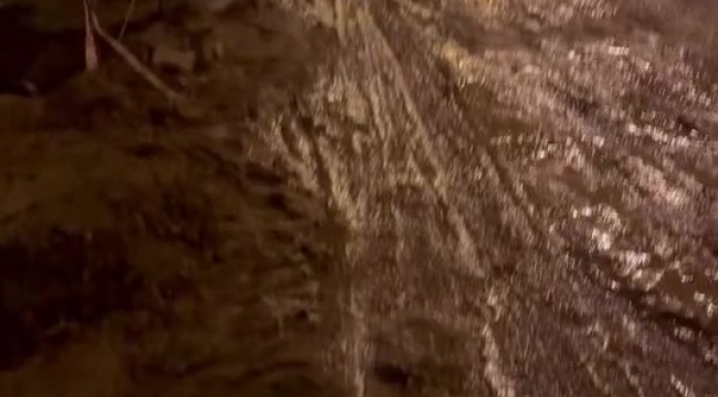 Bayramca Mahallesi'nden Talep Var!