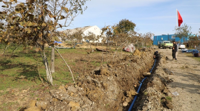 Fınver'de Damlama Sulama Dönemi