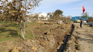 Fınver'de Damlama Sulama Dönemi