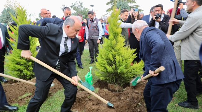 Ordu'da 350 Bin Fidan Toprakla Buluşturulacak