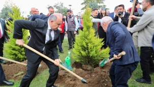 Ordu'da 350 Bin Fidan Toprakla Buluşturulacak