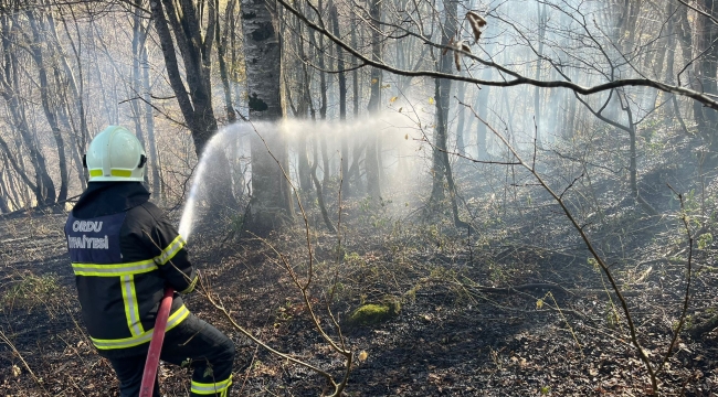 Ordu'da Son Bir Haftada 40 Yangın