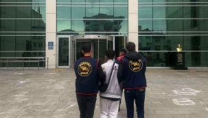 Ordu Jandarma Aranan 39 Şüpheliyi Yakaladı