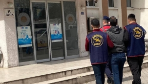 Ordu Jandarma, Aranan 50 Şüpheliyi Yakaladı