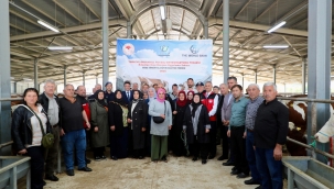 TULIP Projesi Kapsamında Gebe Simental Düve Dağıtım Yapıldı