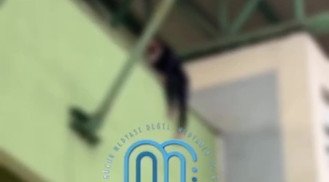 Ünye'de İntihar Vakasında İkna Çabaları Sonuç Verdi