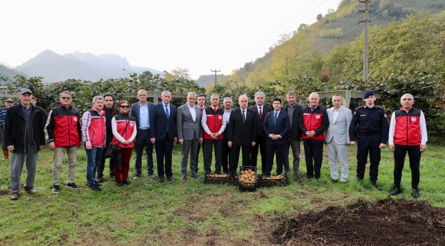 Vali Erol, Kivi Hasadına Katıldı