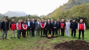 Vali Erol, Kivi Hasadına Katıldı