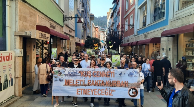 Yeşil Alan İsteği Büyüyor