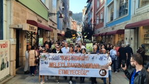 Yeşil Alan İsteği Büyüyor