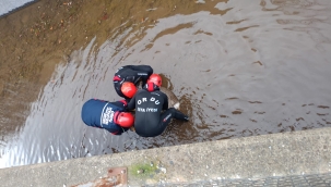 Akkuş’ta Su Kanalına Düşen Karacaya İtfaiye’den Şefkat Eli