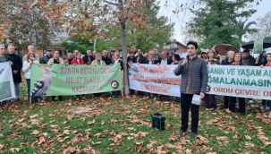 Altınordu Durugöl'de Yeşil Alan Mücadelesi Devam Ediyor