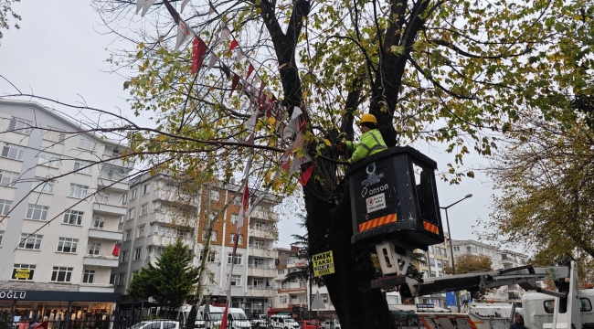 Can Ve Mal Güvenliği İçin Uzmanlar Eşliğinde Budama Çalışması Yapılacak