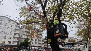 Can Ve Mal Güvenliği İçin Uzmanlar Eşliğinde Budama Çalışması Yapılacak