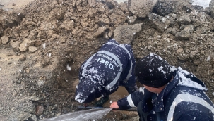 Dondurucu Soğukta Su Mesaisi