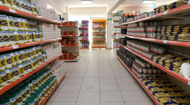 Ordu'da Koli Dönemi Bitti