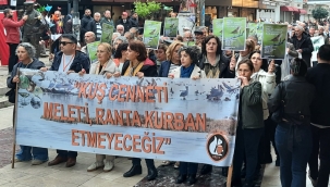 Ordu'da Yeşil Alan Israrı Sürüyor