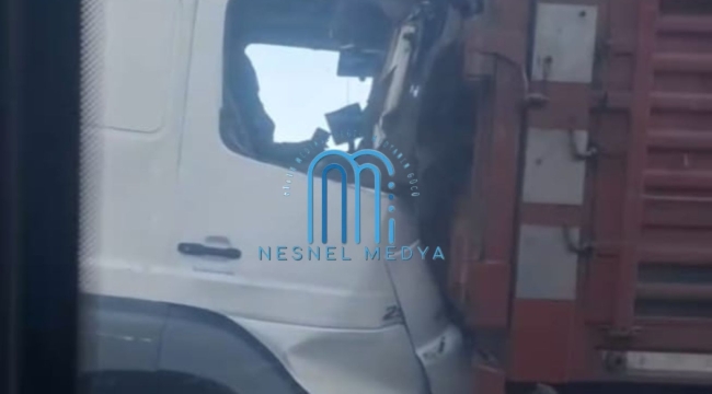 Ünye'de İki Kamyon Birbirine Girdi: Yaralı Sürücü Aracında Sıkıştı