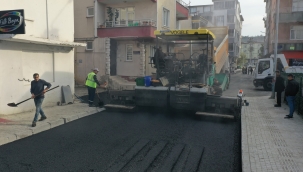 Ünye Veteriner Sokak Sıcak Asfaltla Buluştu