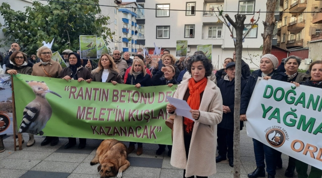 Yeşil Alan Talepli Yürüyüşünün 6.Sı Yapıldı