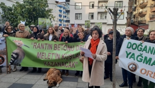 Yeşil Alan Talepli Yürüyüşünün 6.Sı Yapıldı