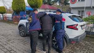 Jandarma, Aranan 29 Şüpheliyi Yakaladı