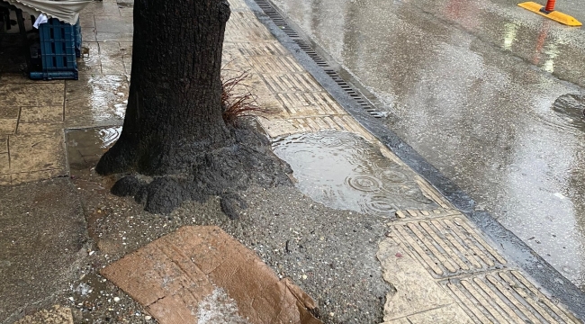 Ne Zamandır Böyle! Engelliler Nasıl Geçecek?