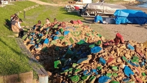 Ünye Çevre Platformu: “Çamlık ve Yalı’nın Betonlaştırılmasına İzin Vermeyeceğiz!”