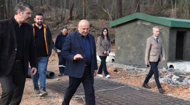 Ünye'de Sokak Hayvanları Doğal Yaşam Alanı'nda Sona Doğru